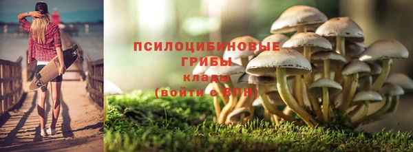 мяу мяу мука Абдулино