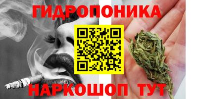индика Гусиноозёрск