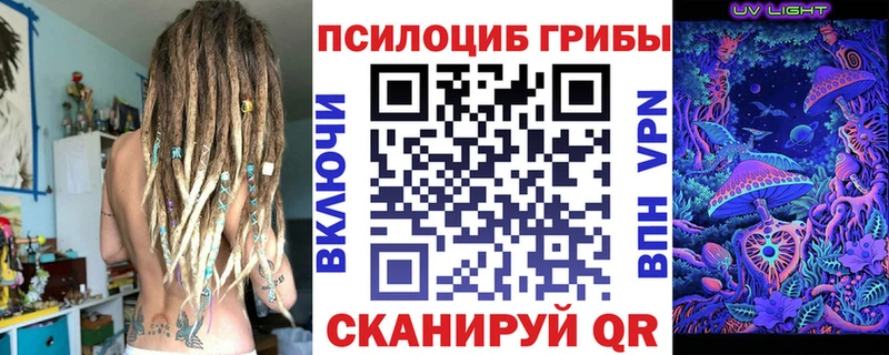 Псилоцибиновые грибы Psilocybine cubensis  купить наркотик  Новотроицк 